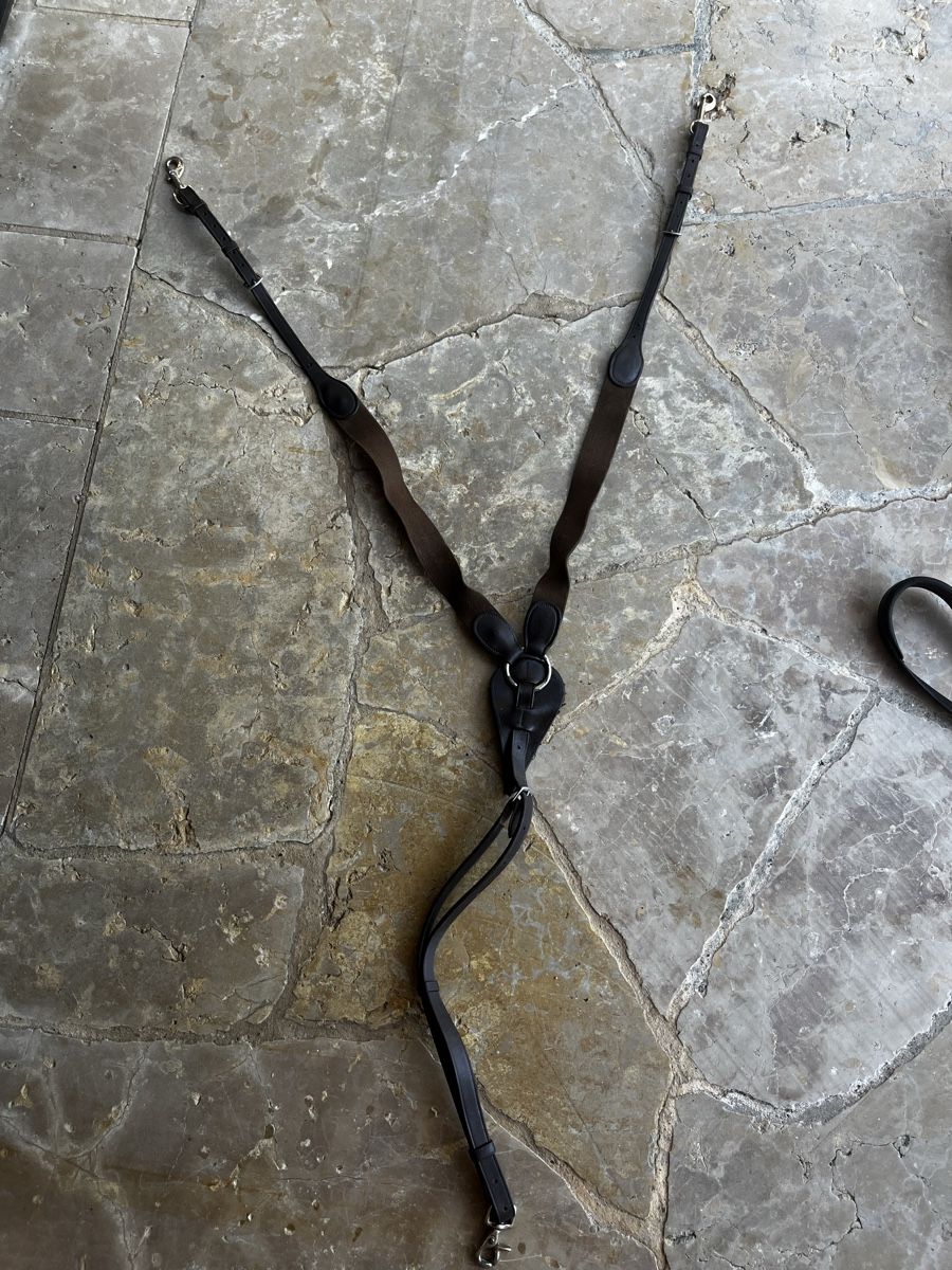 Briglie & Cavezze: Collier de chasse en cuir brun taille cheval  – Usato da Le Landeron venduto da emm_q6yt