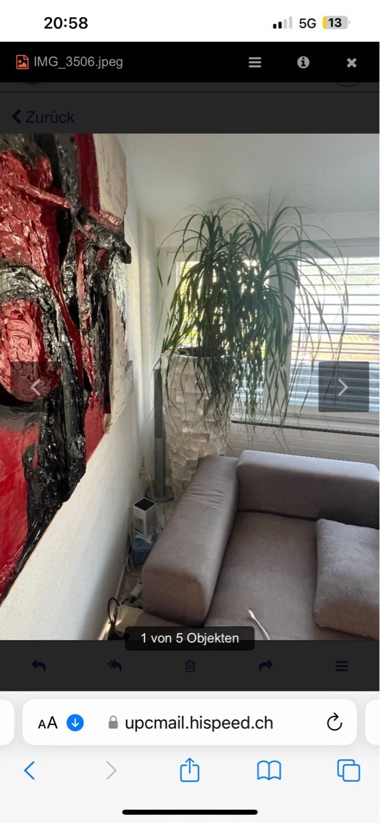 Dipinti: Reliefbild von Jost – Usato da Kriens venduto da Clevero 2
