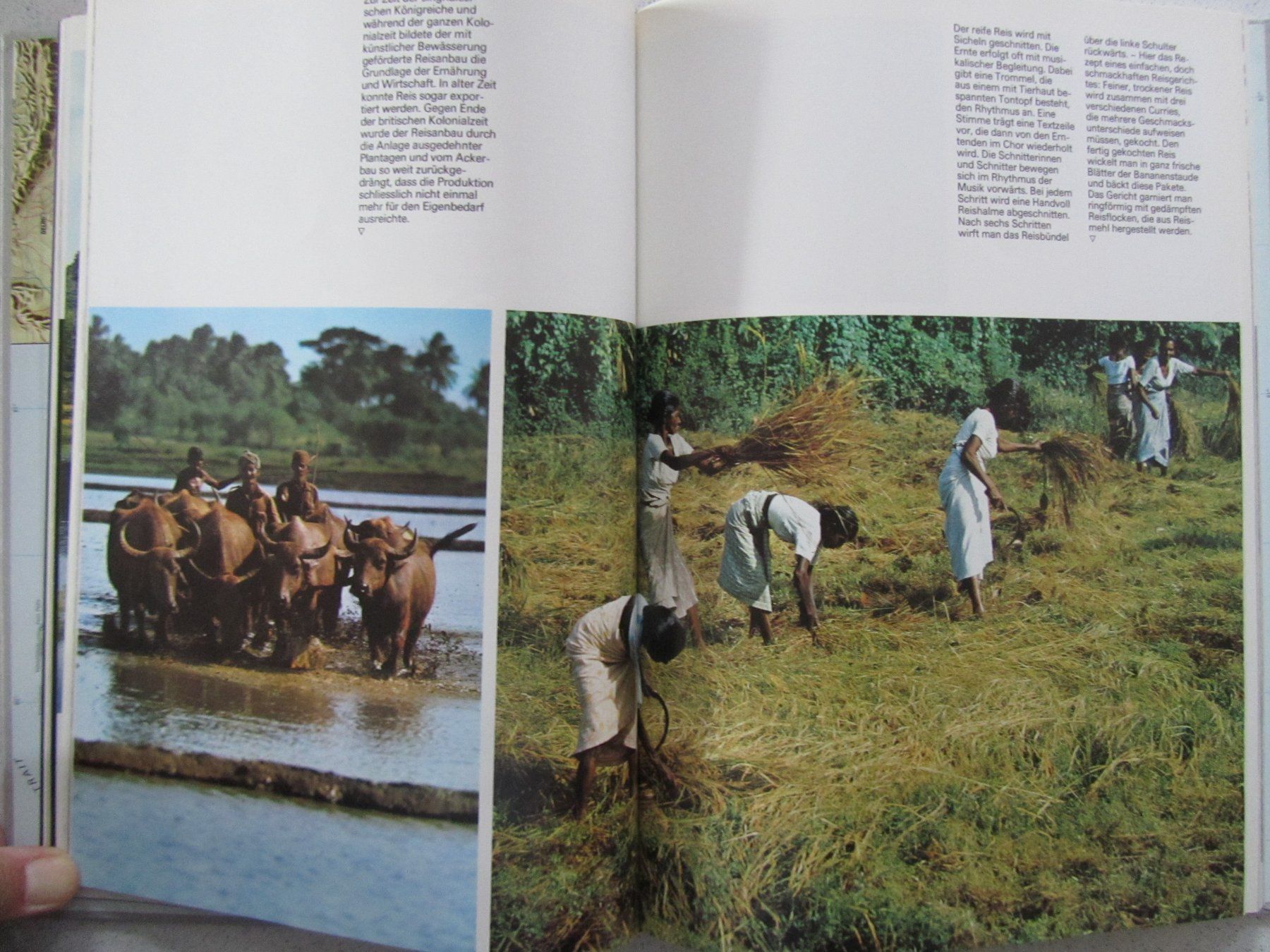 Libri: Ceylon / Sri Lanka - Silva Buch von 1977 – Usato da Weiningen ZH venduto da dietsch57 5
