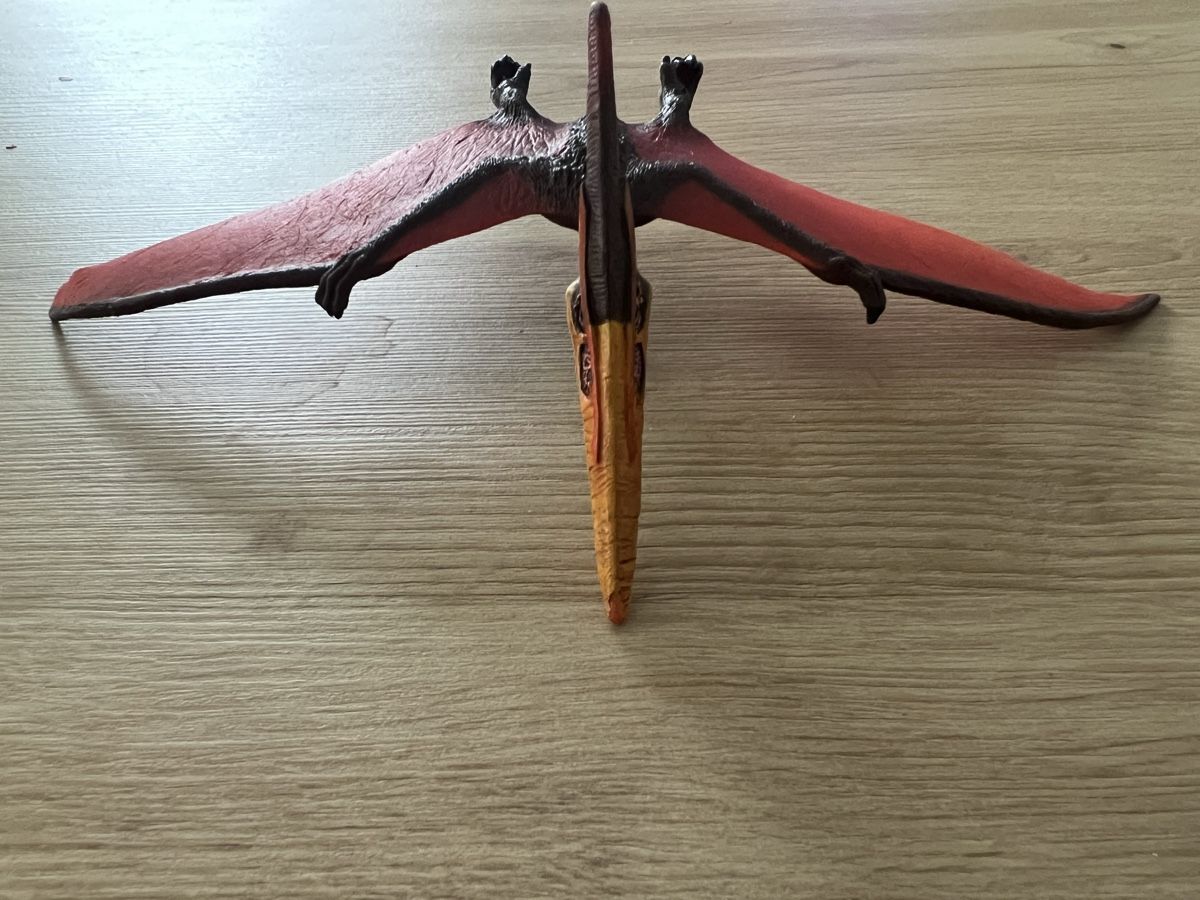Schleich Statuette: Pteranodon Flugsaurier Dinosaurier, Top Zustand! – Usato da Thun venduto da Siladi 2