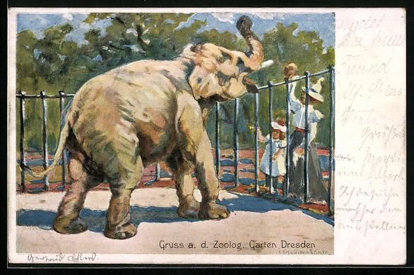 Cartes postales: Trompetender Elefant, Mutter mit Kindern – D'occasion à Berlin par bartko-reher