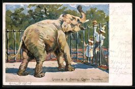 Trompetender Elefant, Mutter mit Kindern