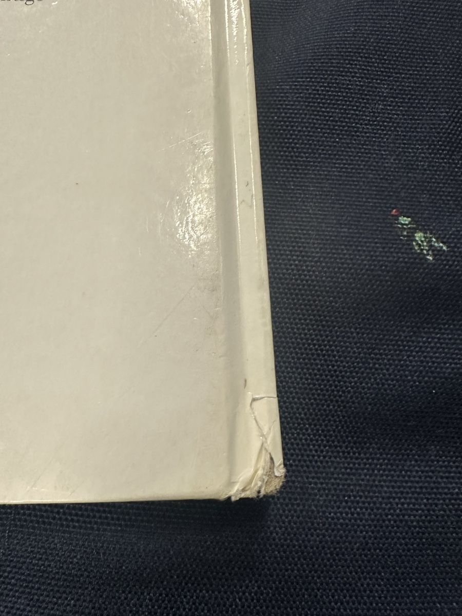 Bücher: Der kleine Dino Marcus Pfister – Gebraucht aus Uster von bek_v2ct 7