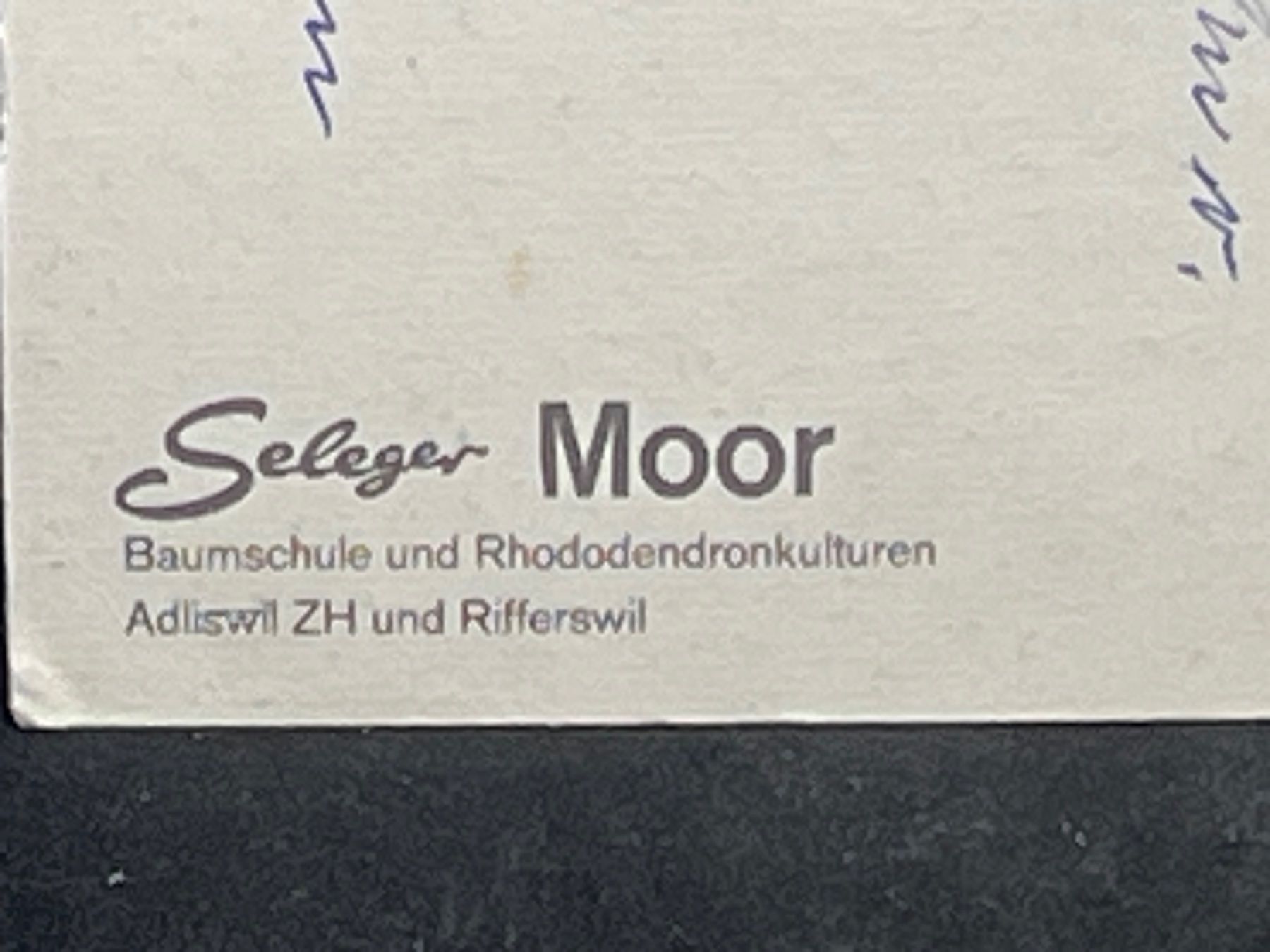 Cartoline postali: Ansichtskarte: Seleger Moor (Baumschule, Adliswil ZH) – Usato da Widnau venduto da Brusi9 2