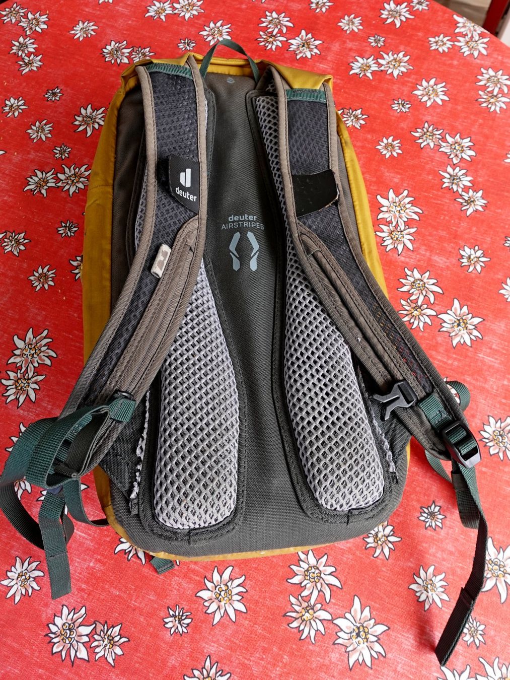 Deuter Zaini: DEUTER Bike Rucksack – Usato da Hinwil venduto da Rica1295 2