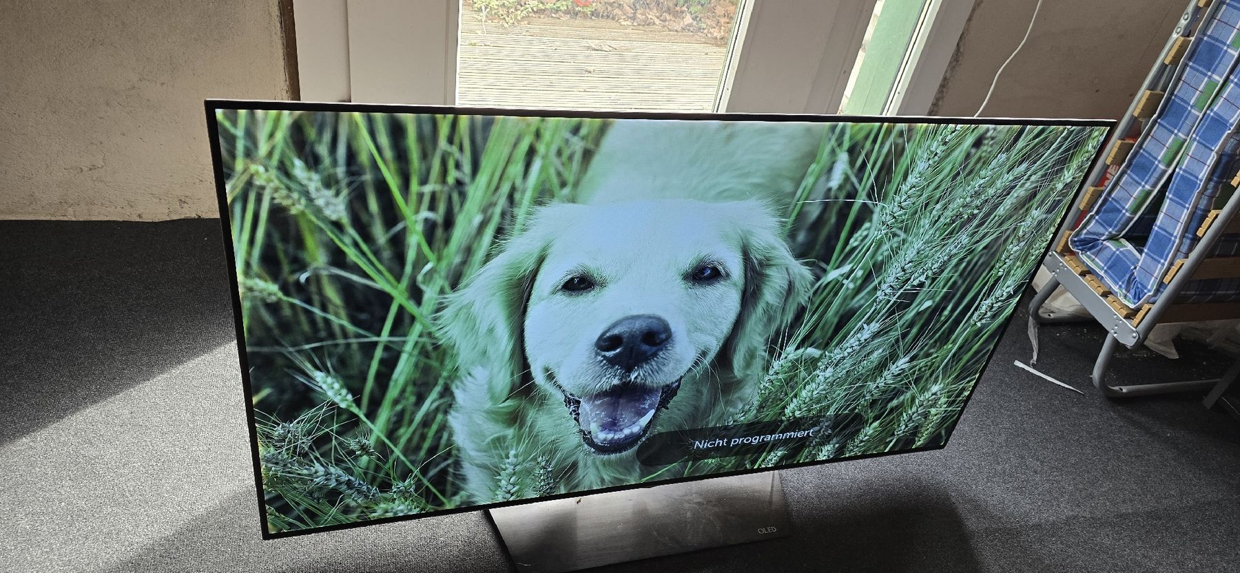Televisori: Fernseher LG OLED 55g6v – Usato da Mägenwil venduto da Sleidina 2