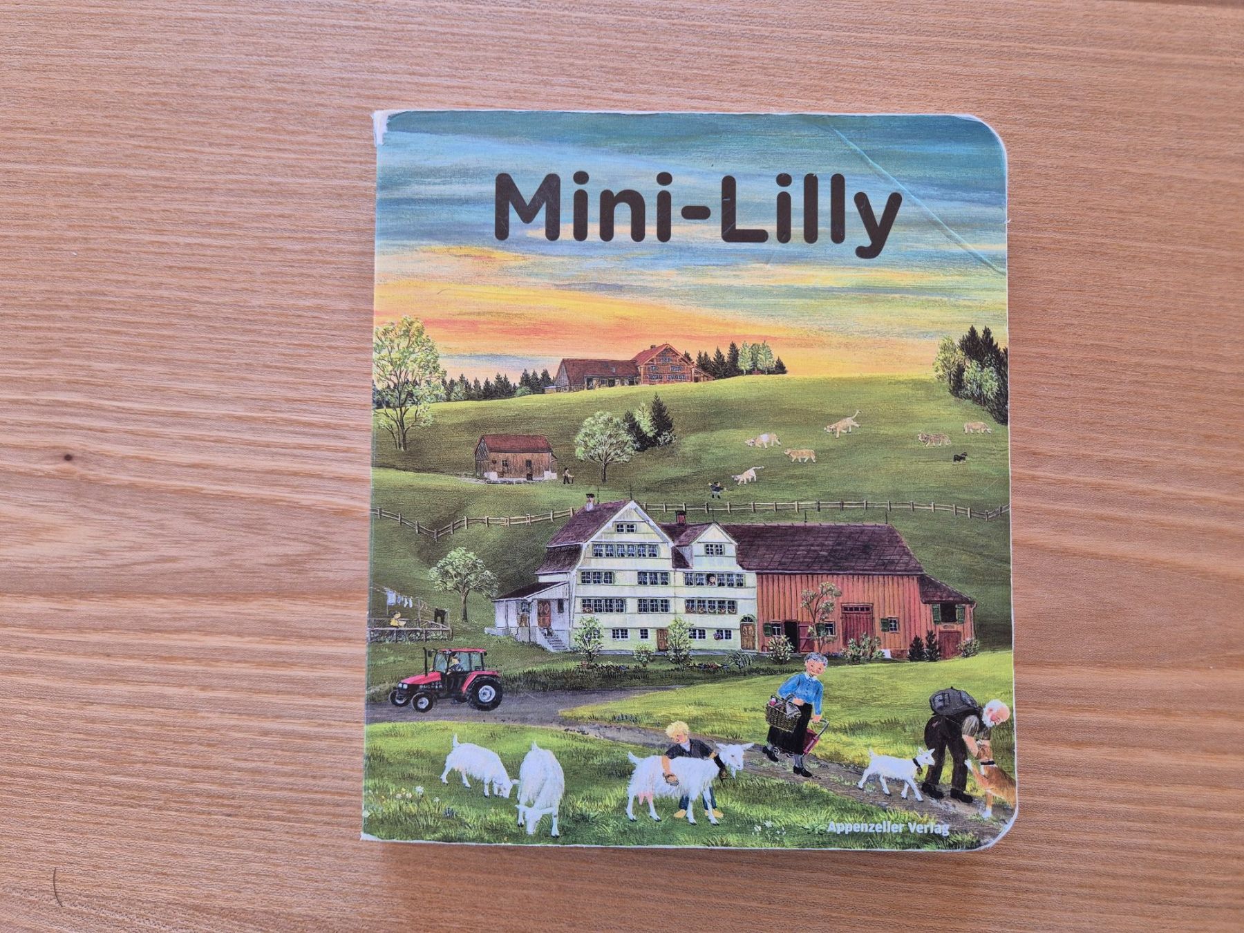 Libri: Mini-Lilly Papp- Bilderbuch – Usato da Giswil venduto da 0G6
