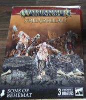 Warhammer : Fils de Behemot, AOS