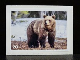 MIGROS MANIA Nature Detectives Nr. 20