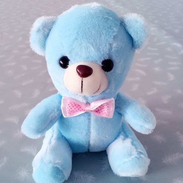 Spielzeuge: Teddy leuchtend mit LED - Superpreis!! – Neu und originalverpackt aus Diepoldsau von preisparadies-ch 3