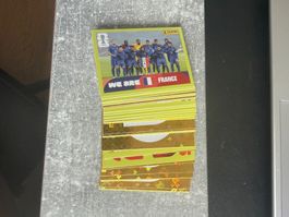 Panini Bilder (über 50 Karten, davon über 20 Gold Wappen)