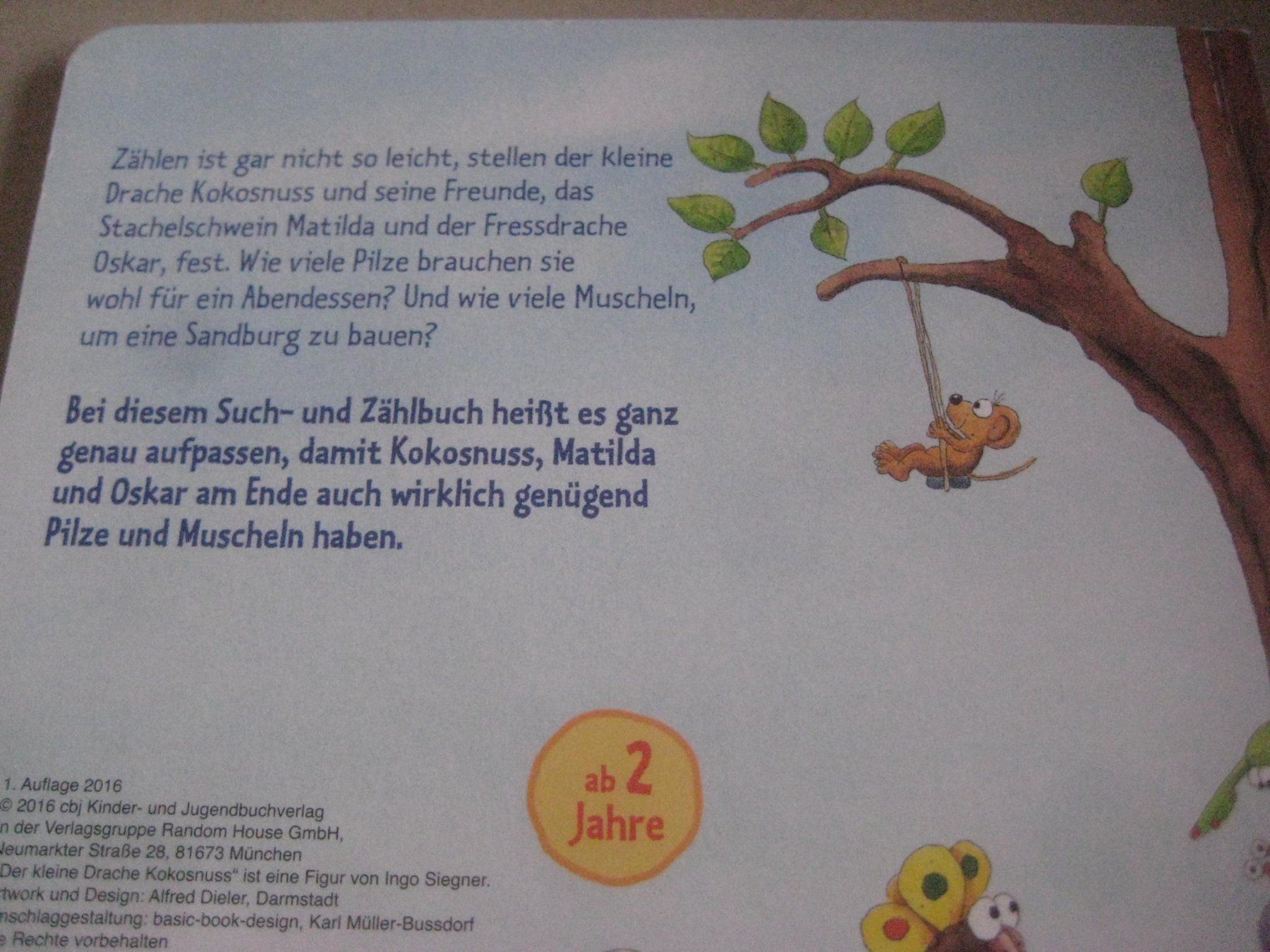 Libri: DER KLEINE DRACHE  KOKOSNUSS – Usato da Uster venduto da flocke1 4