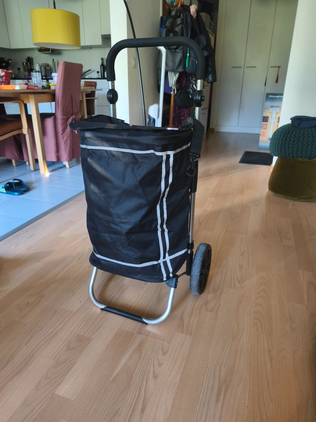 Altro per la casa: Einkaufstrolley / Einkaufswagen – Usato da Olten venduto da les_kg28