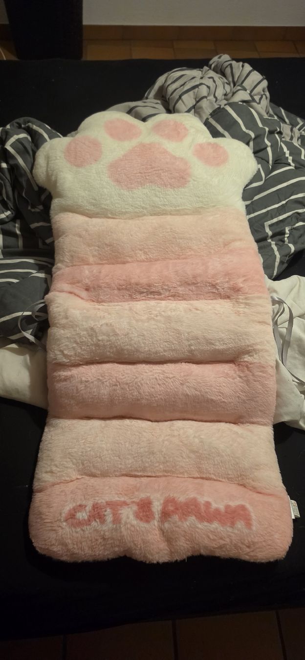 Cuscini: coussin pour chaise  – Nuovo (secondo la descrizione) da Reconvilier venduto da mulan22