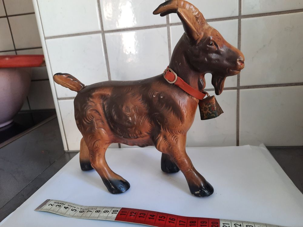 Caniche Grand Royal élevage agrée belgique