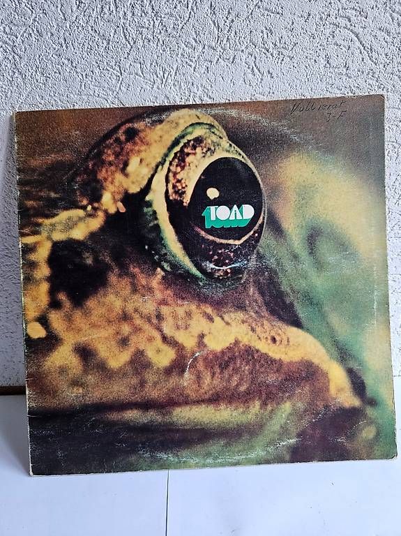 Vinyles: vinyl TOAD – D'occasion à St-Barthélemy VD par steepy33 1