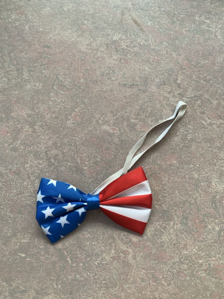 Cravatte: Fliege USA Style, perfektes Accessoire! – Usato da Wiggen venduto da Antoniotto