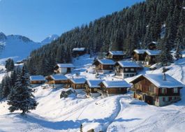 Goppisbergalp  VS  bei Riederalp      um 1988