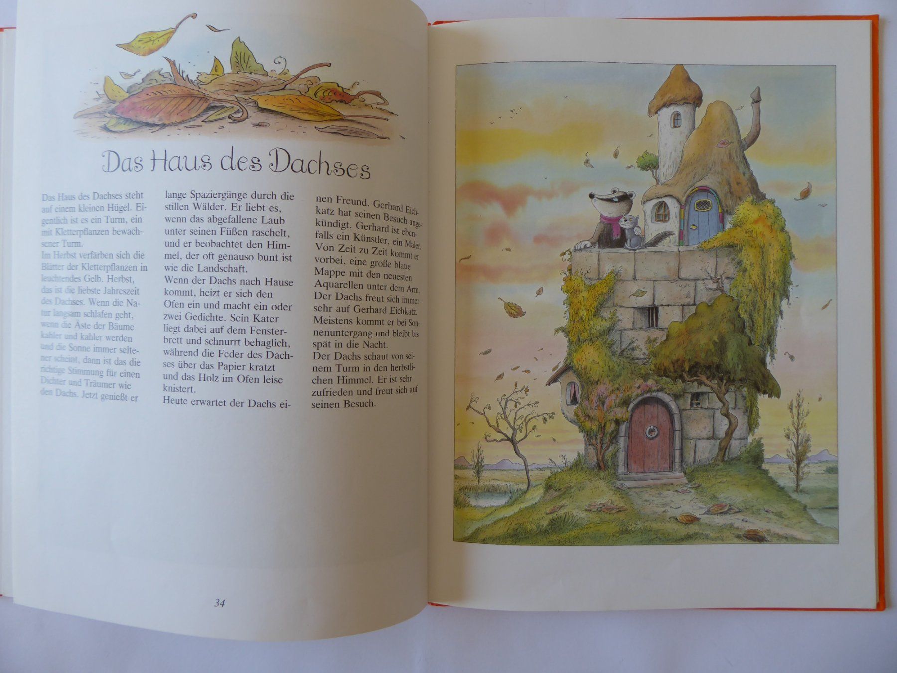 Libri: Kinderbuch Sultan Mudschi, Erwin Moser, Beltz & Gelbert – Usato da Turbenthal venduto da Panau 4