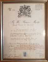 Britischer Konsulatspass 1909 Zürich Historisches Dokument