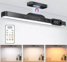 LED Bilderleuchte dimmbar 2500mAh Akku mit Fernbedienung