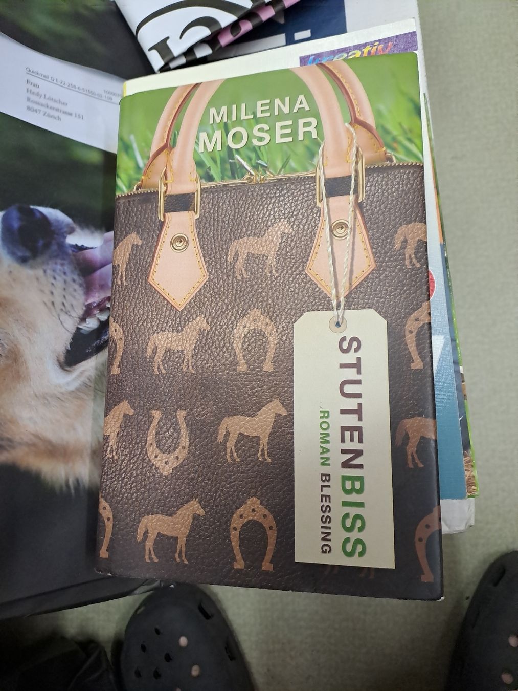 Libri: Spannender Pferderoman "Stutenbiss" – Usato da Zürich venduto da Schoebi19 1