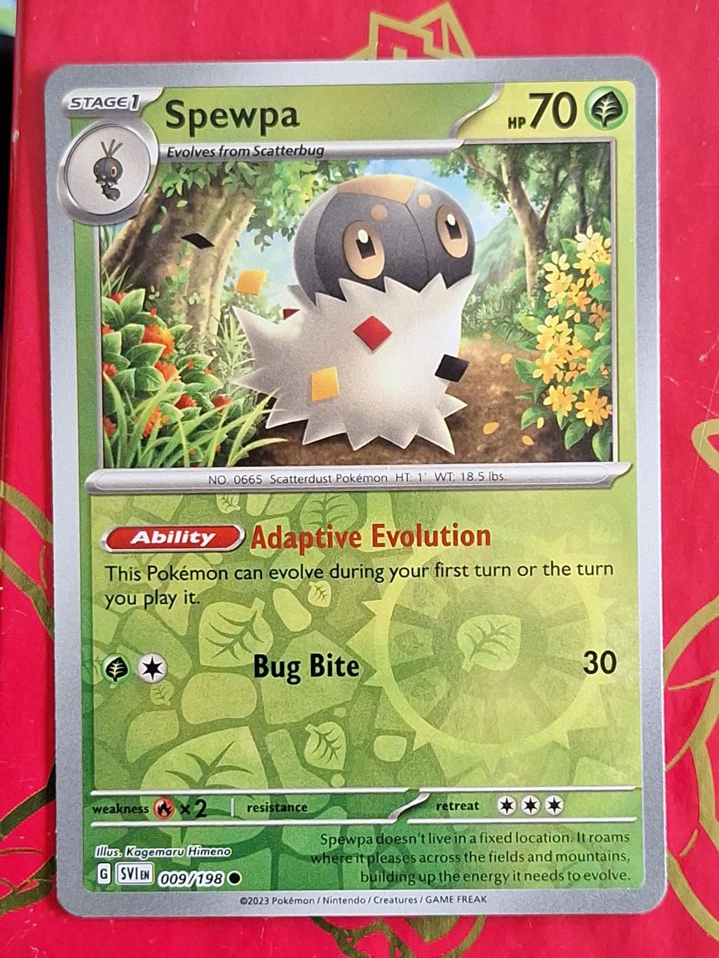 Pokémon Carte collezionabili: Spewpa - Pokemon Reverse Holo Scarlet Violet – Usato da Altstätten SG venduto da GGsGameshop