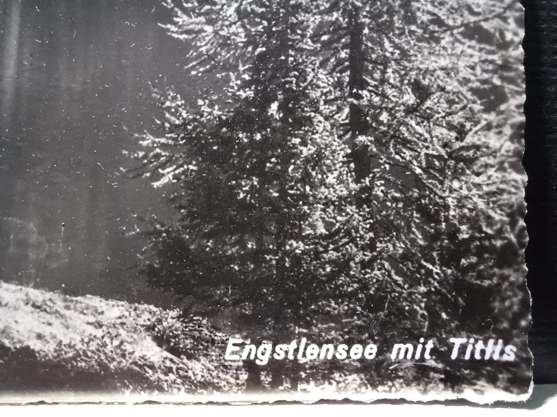 Cartoline postali: BE, Engstlensees mit Titlis. 12.Aug.49,  Div. Stempel – Usato da Aarau Rohr venduto da mgvw 1
