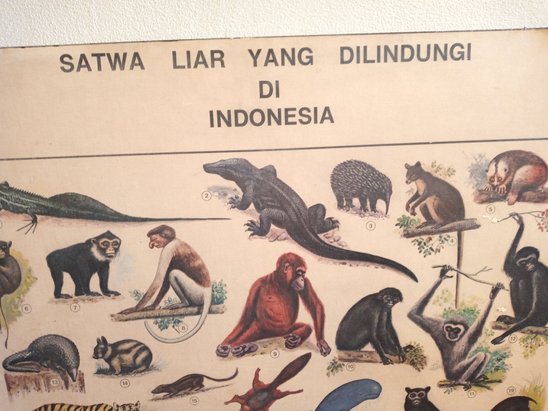 Foto & Immagini: 2 alte Plakat aus 70er – Usato da Prez-vers-Siviriez venduto da Monija70 1