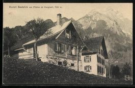 Hergiswil, Hotel Kurort Seeblick mit Pil