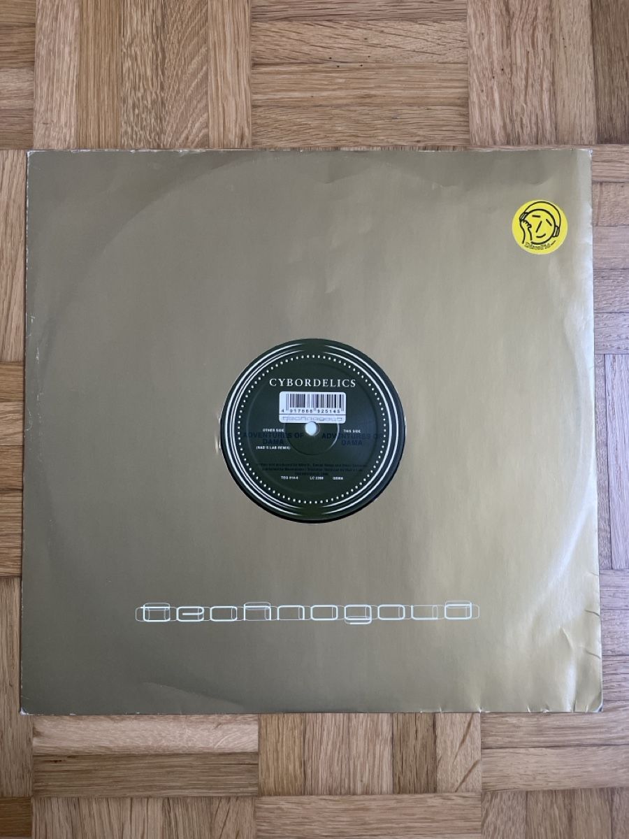 Dischi in vinile: Cybordelics Trance / Hard Trance Vinyl – Usato da Wangen b. Olten venduto da break72