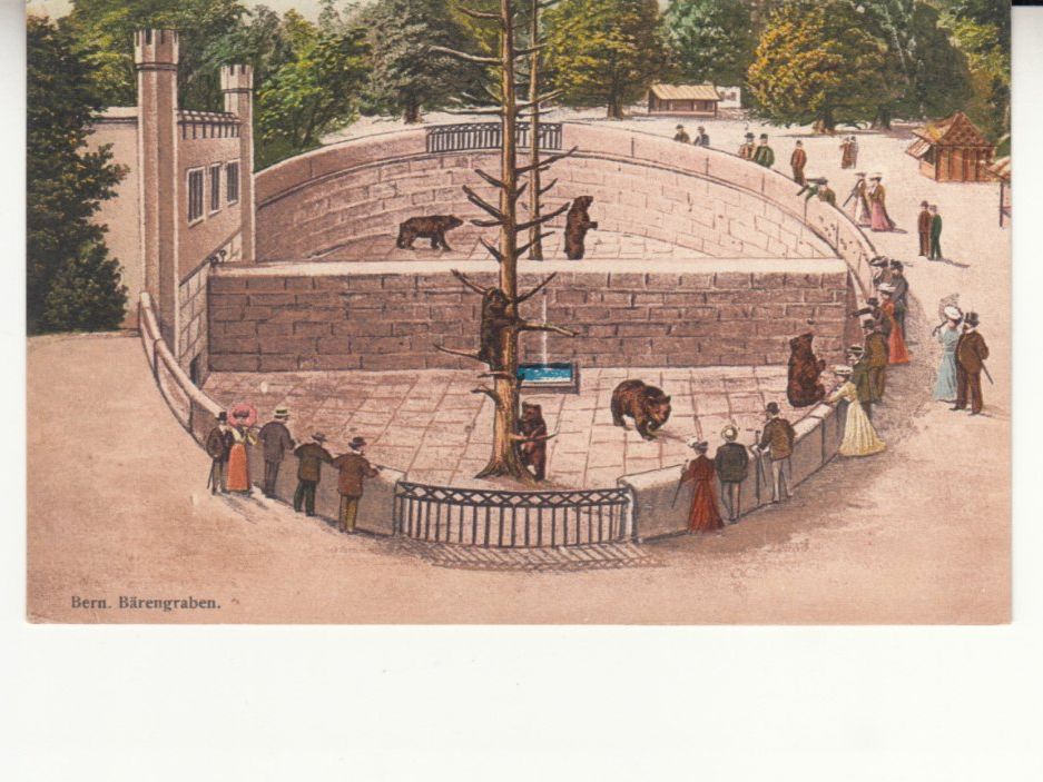 Cartoline postali: Bern Bärengraben ca. 1910 – Usato da Bürglen TG venduto da StampGraf