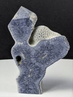 Schaumkoralle Stein 8,4cm mit Stehfläche