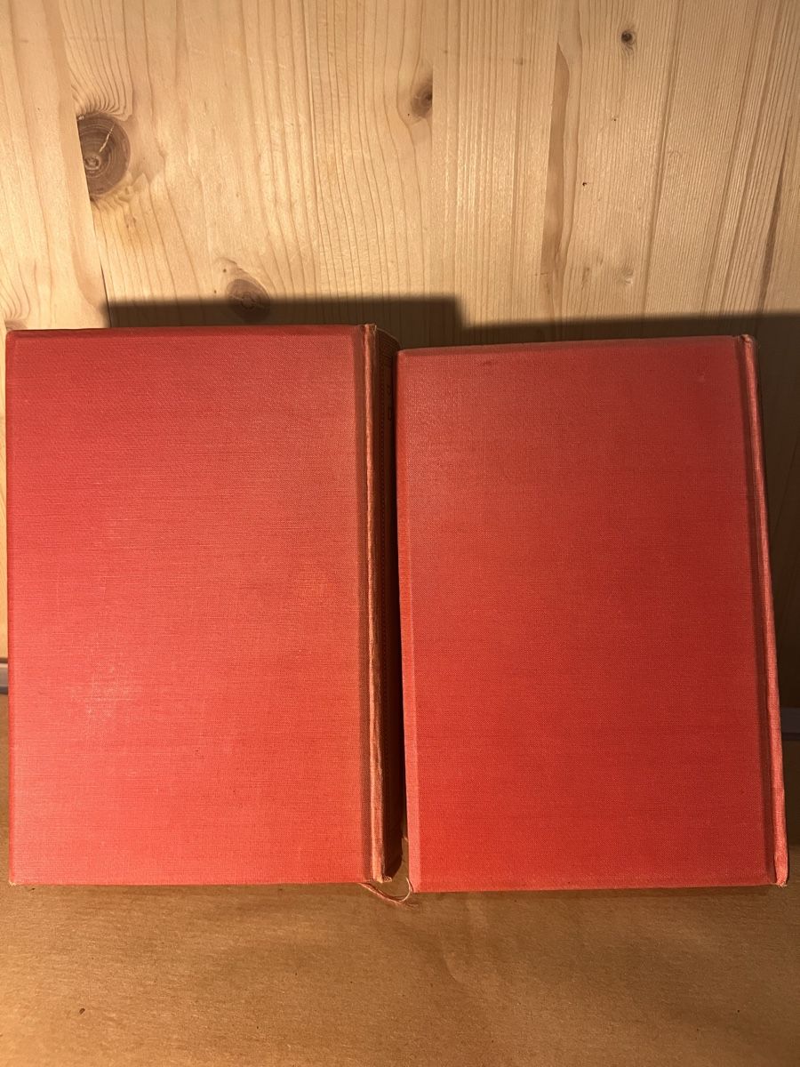 Libri: F. M. Dostojewski – Der Idiot – Usato da Muralto venduto da dan_pf8r 5