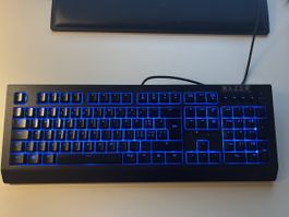 Razer Cynosa V2 Tastatur