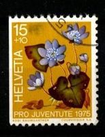 1975 - PJ / Zierpflanzen / Leberblümchen