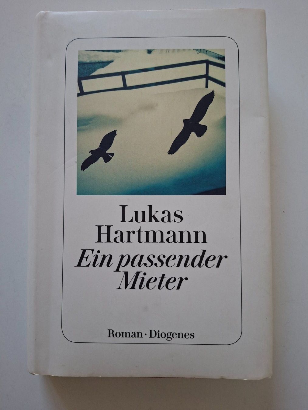 Libri: Lukas Hartmann   "Ein passender Mieter"   Roman   Diogenes – Usato da Zürich venduto da Daniel517