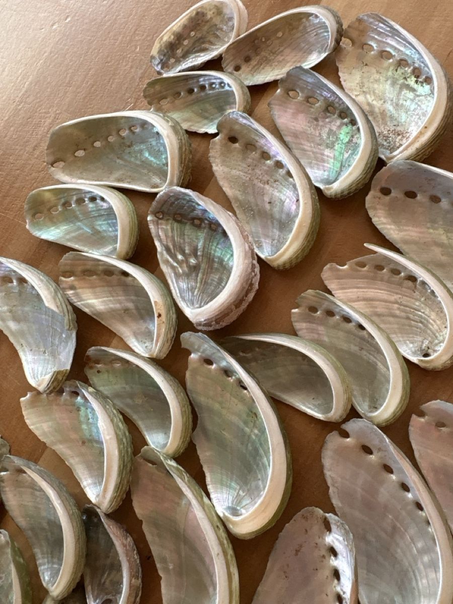 Tutte le decorazioni: Muscheln mit Perlmutt – Usato da Rümlang venduto da baselsale1 1