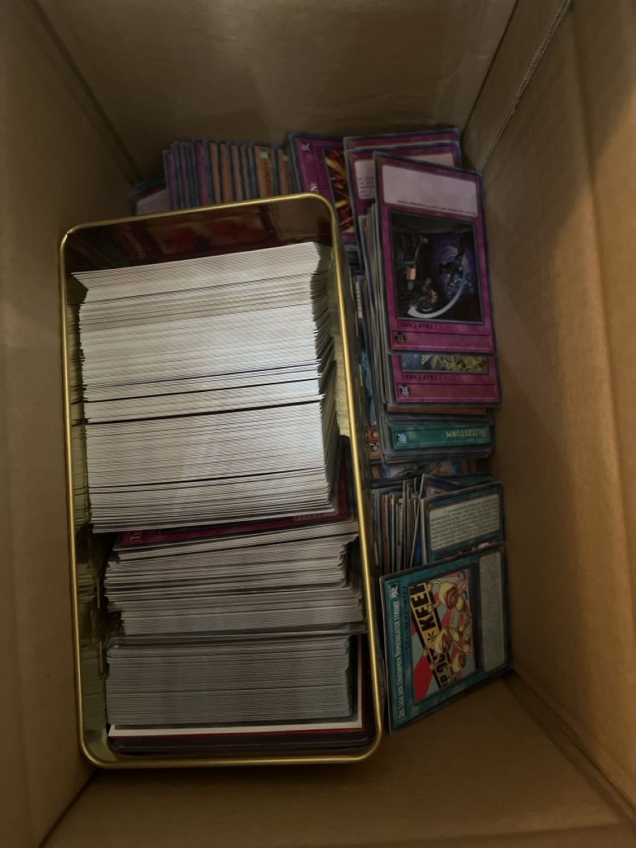 Yugioh Carte collezionabili: Yugioh Bulk – Usato da Neudorf venduto da Juli_5633
