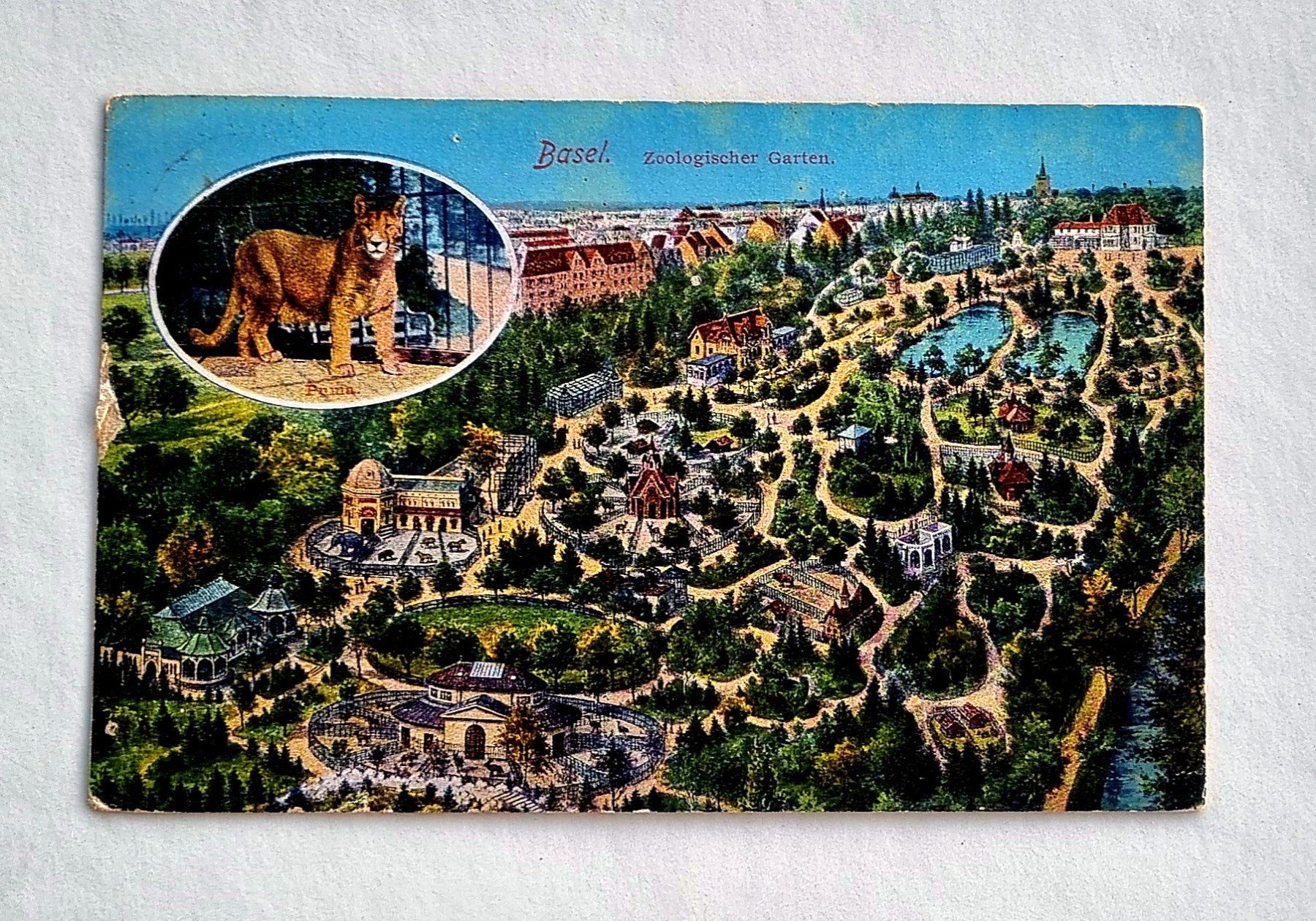 Cartes postales: Basel - Zoo - Feldpost Bat 146 – D'occasion à Rothrist par RROENK