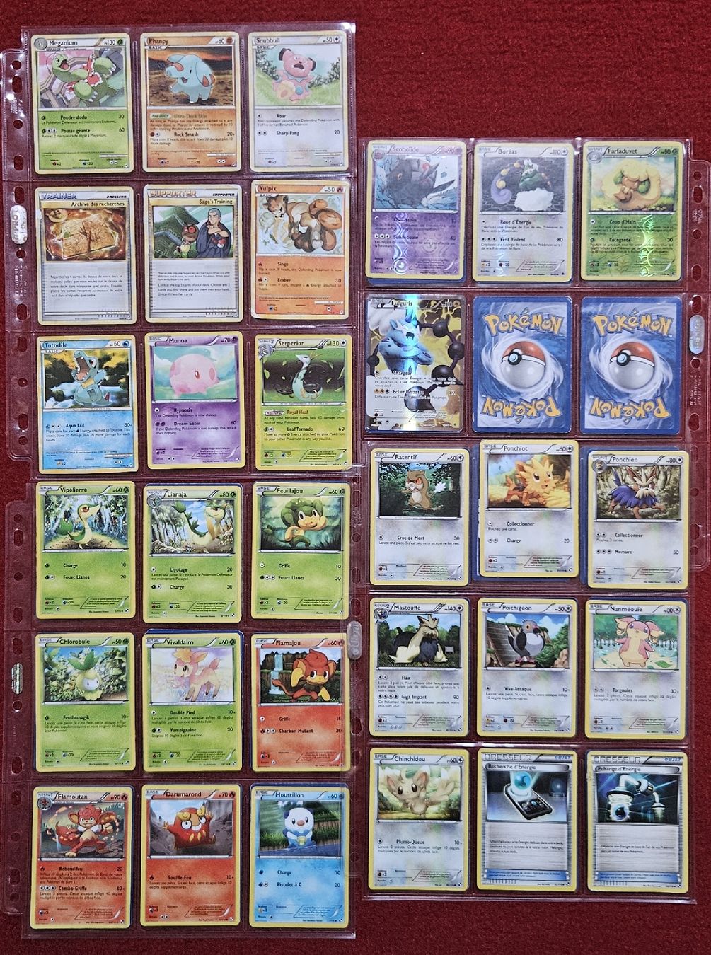 Pokémon Carte collezionabili: lots de carte pokemon  – Usato da les verrieres venduto da atom82