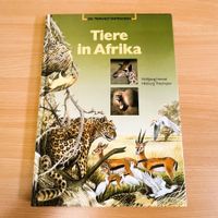 Die Tierwelt entdecken - Tiere in Afrika