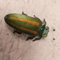 Originelle Brosche