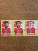 Panini Sticker WM 2026 - CAN 3/ 6/ 14