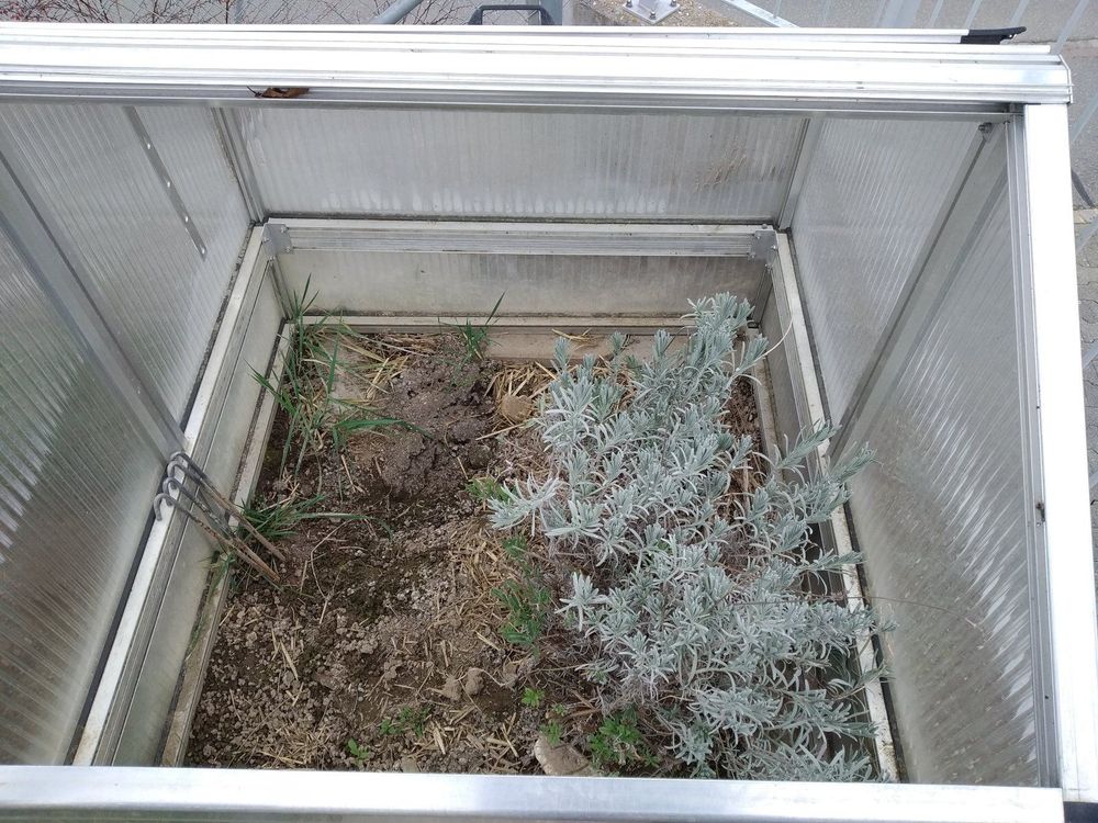 Frühbeet für Schildkröten mit Unterbau Kaufen auf Ricardo