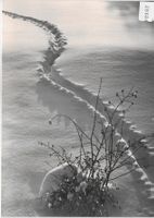Spuren im Schnee - Fotokunst Groh
