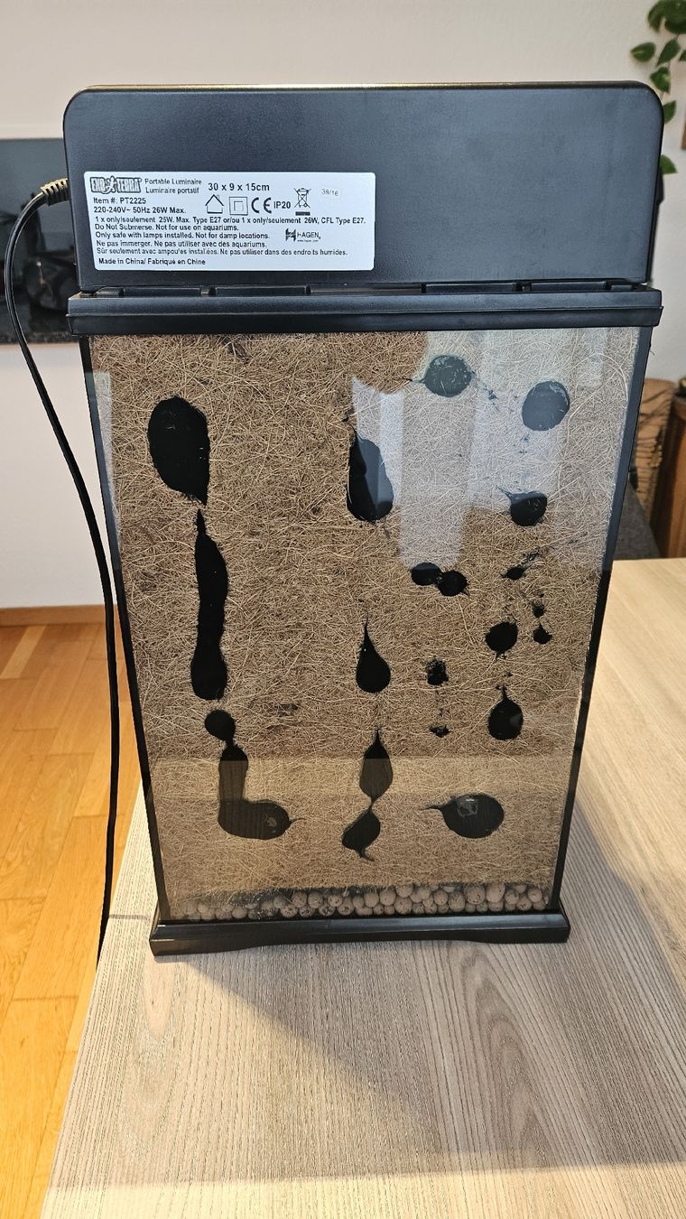 Terrario: Exo Terra Terrarium 30x30x47 mit Lampe – Usato da Zumikon venduto da Madsi41 2