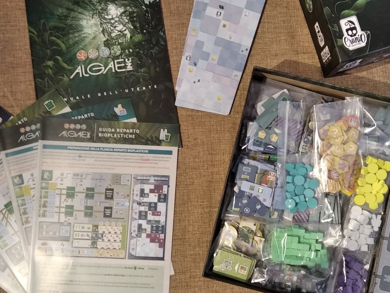 Giochi: Algae Inc. - Jeu de société neuf – Nuovo (secondo la descrizione) da Aigle venduto da Colargolator 2