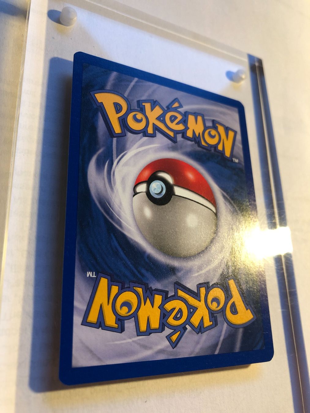 Cartes à collectionner: Shuckle 1st Neo Revelation - MINT - ab 1.- – D'occasion à Giubiasco par dan_pr8b 5