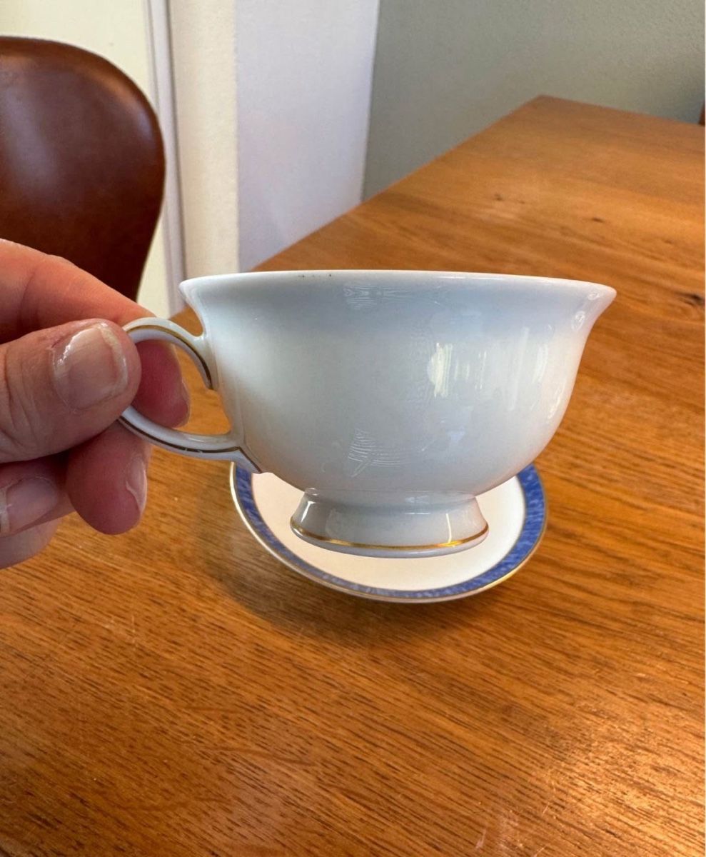 Rosenthal Tazze: Bavaria Rosenthal Kaffeetasse – Usato da Niederbüren venduto da poschti 2